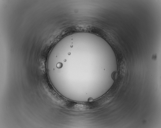 X0000115000699200911091358