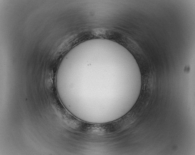 X0000115000702200911091358