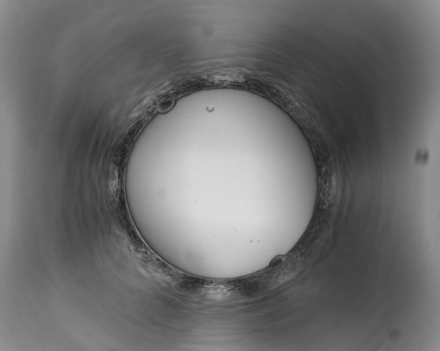 X0000115000704200911091358