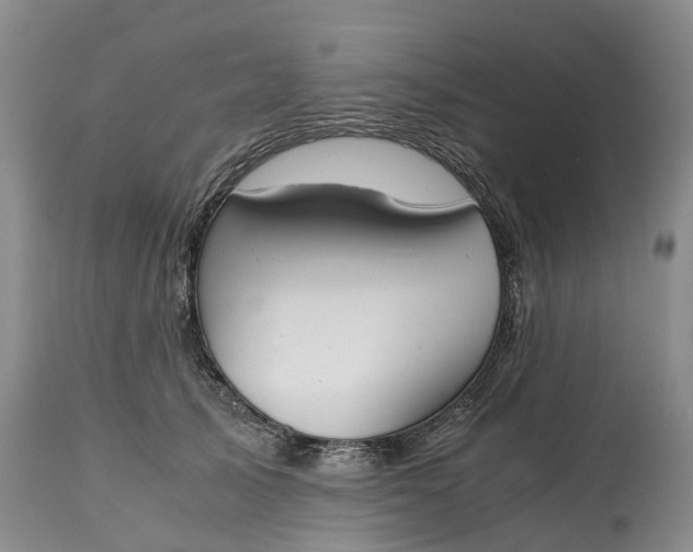 X0000115000705200911091358
