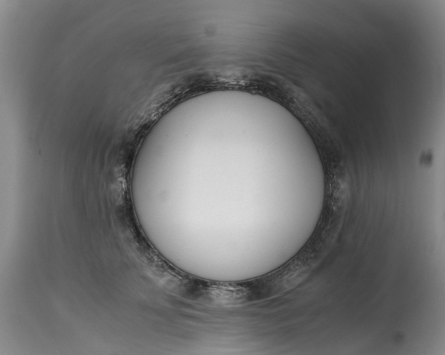 X0000115000707200911091358