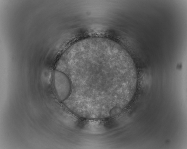 X0000115000709200911091358