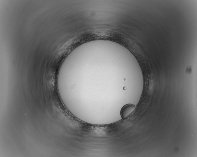 X0000115000710200911091358