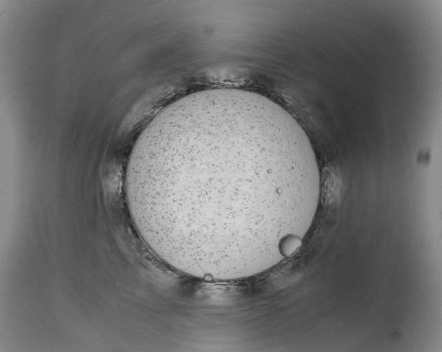 X0000115000713200911091358