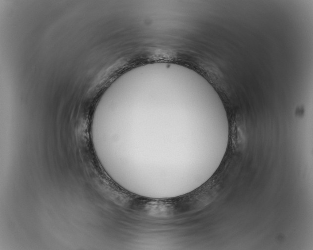 X0000115000714200911091358