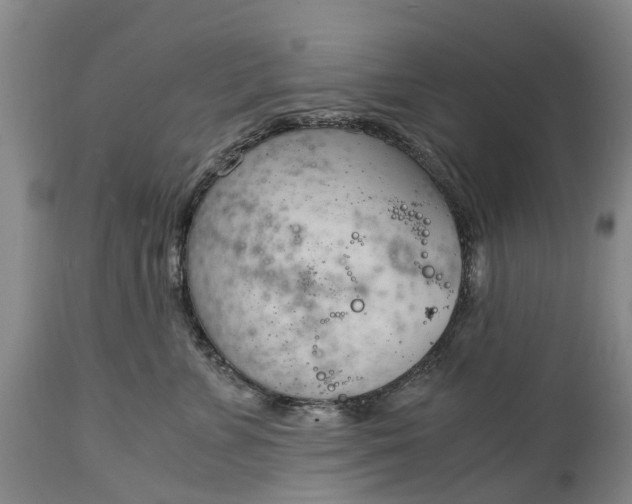 X0000115000715200911091358