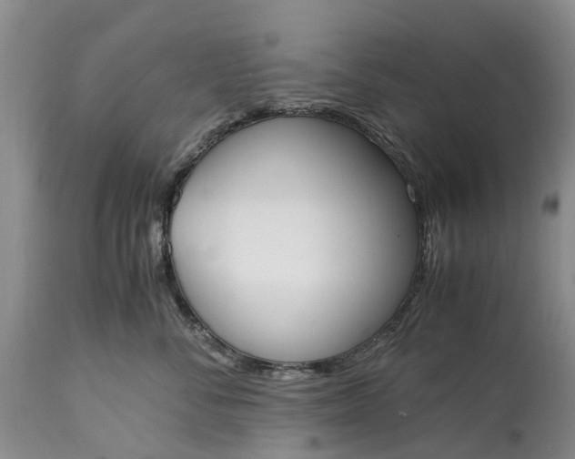X0000115000716200911091358