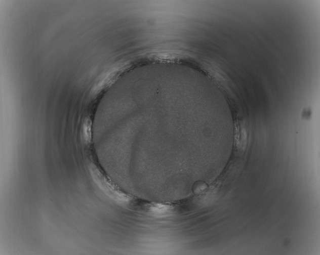 X0000115000718200911091358