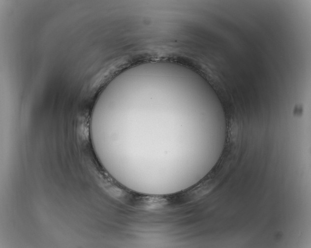 X0000115000719200911091358