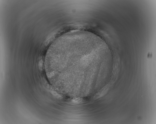 X0000115000720200911091358