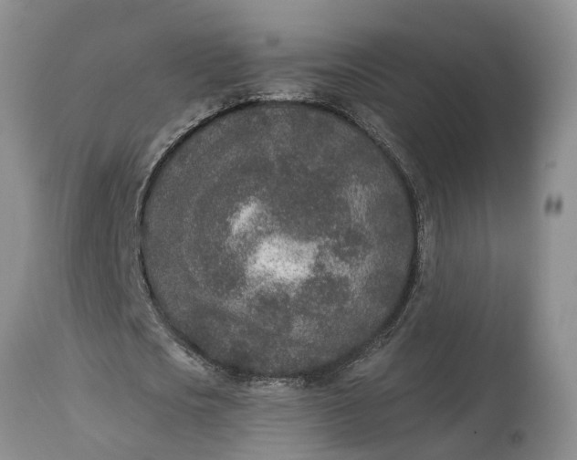 X0000115000721200911091357