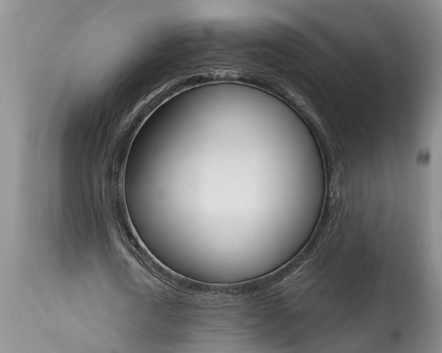 X0000115000722200911091357