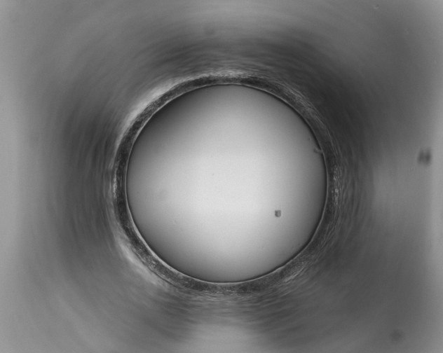 X0000115000726200911091357