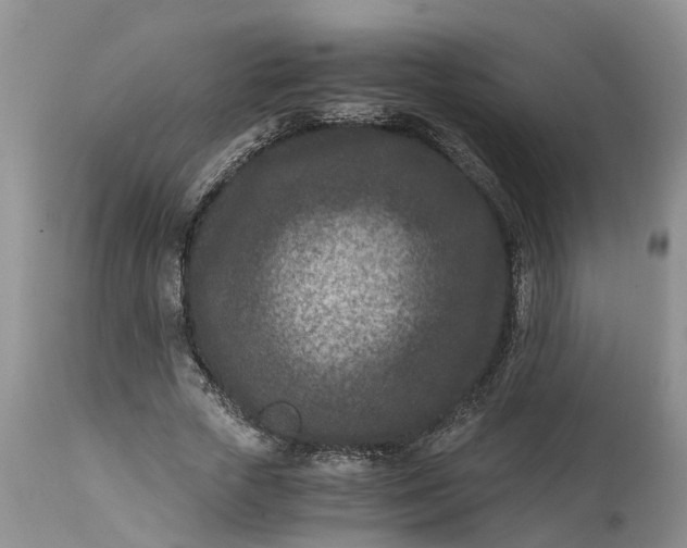 X0000115000729200911091357
