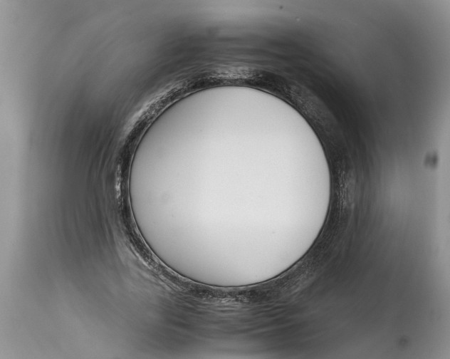 X0000115000731200911091357