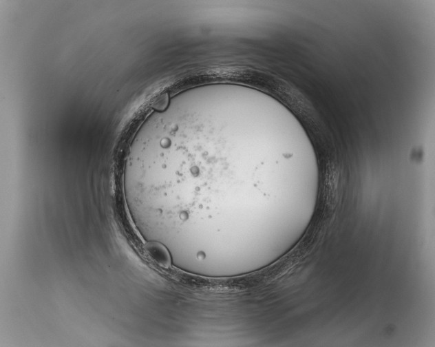 X0000115000734200911091357