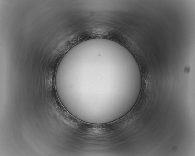 X0000115000745200911091357