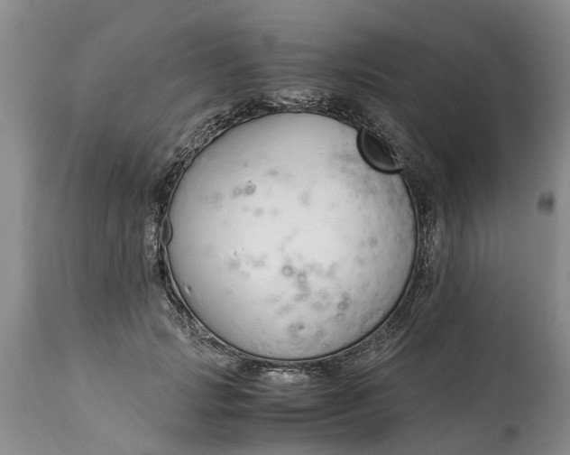 X0000115000749200911091358