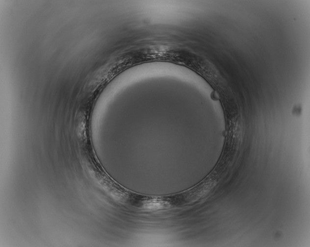 X0000115000754200911091358