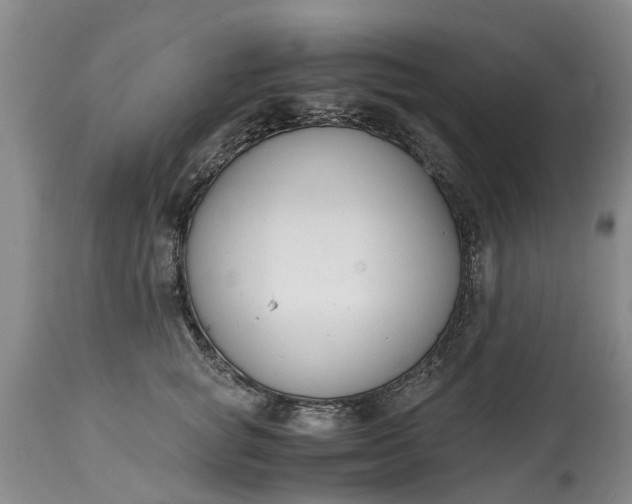 X0000115000757200911091358