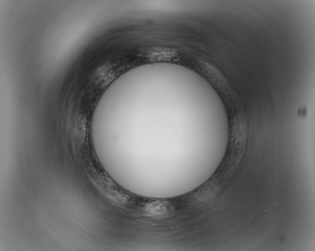 X0000115000761200911091358