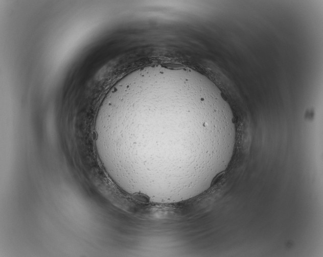 X0000115000762200911091358