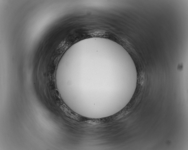 X0000115000763200911091358