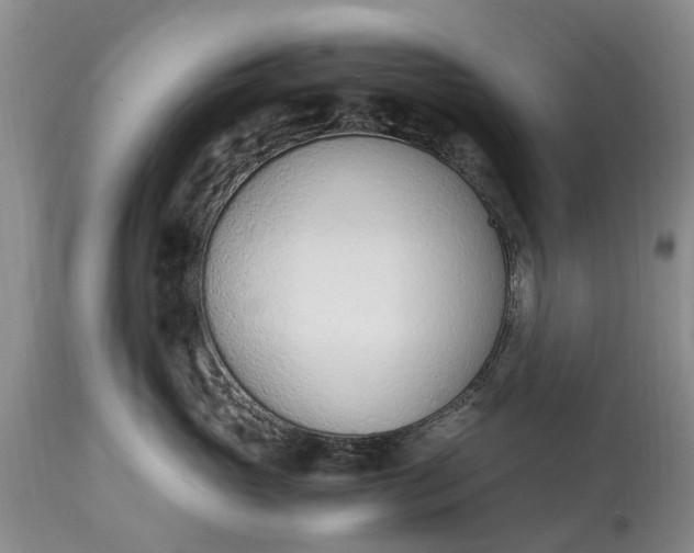 X0000115000765200911091358