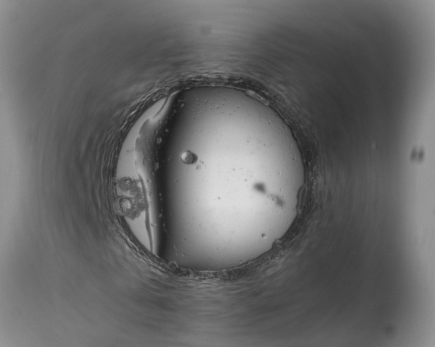X0000115000769200911091357
