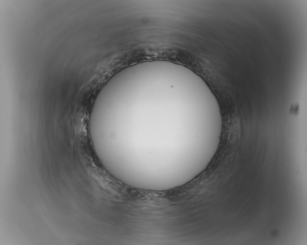 X0000115000770200911091357