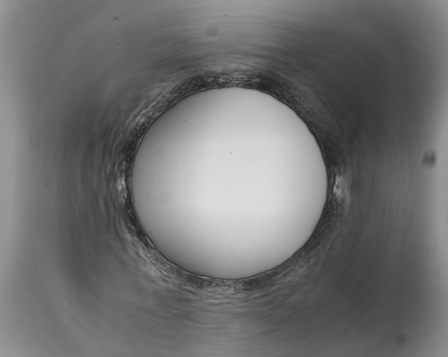 X0000115000771200911091357