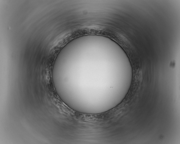 X0000115000774200911091357