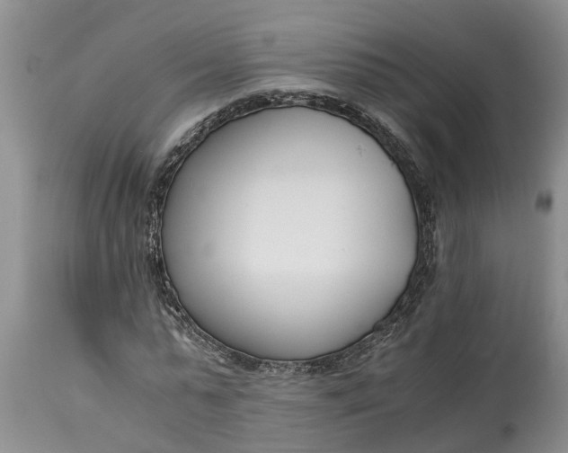X0000115000775200911091357