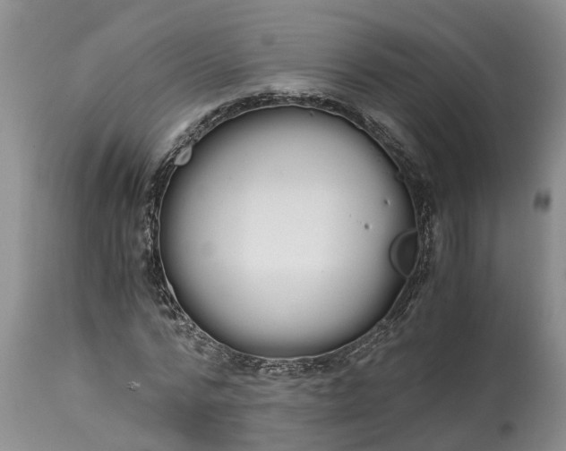 X0000115000776200911091357