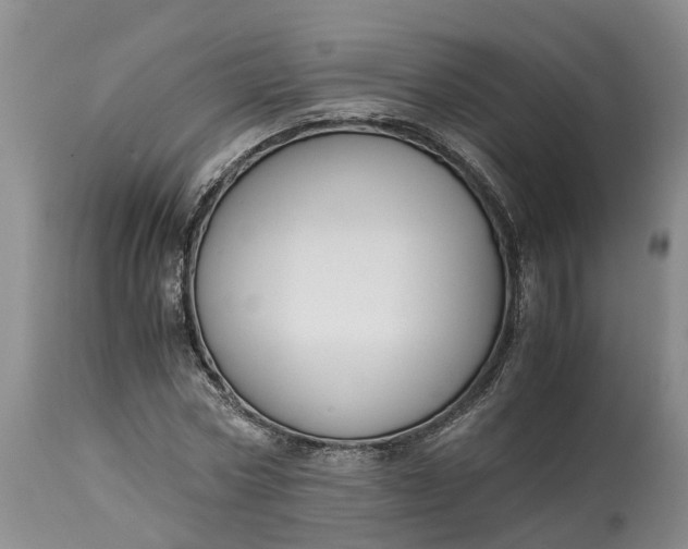 X0000115000778200911091357
