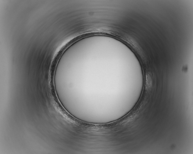 X0000115000780200911091357