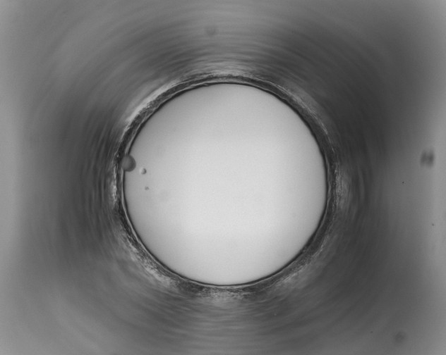 X0000115000782200911091357
