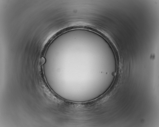 X0000115000783200911091357
