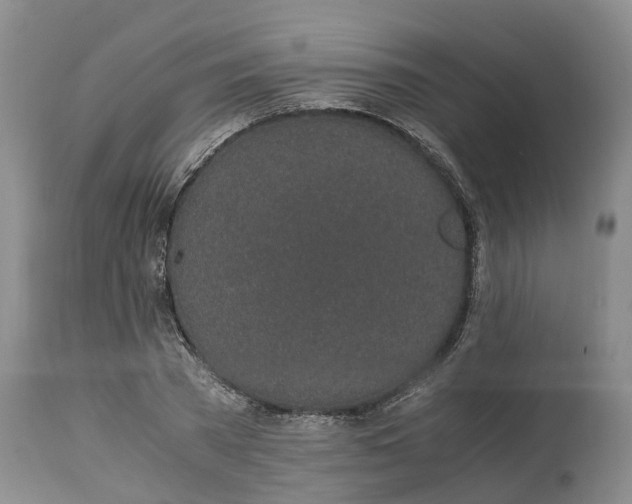 X0000115000785200911091357