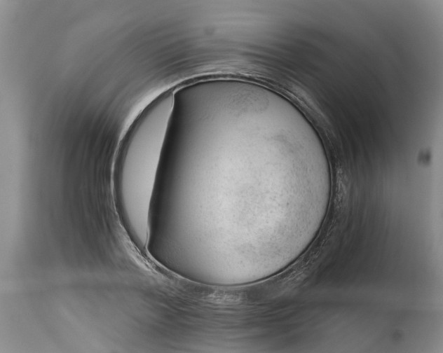 X0000115000788200911091357