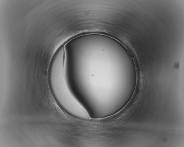 X0000115000789200911091357