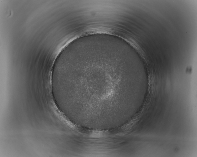 X0000115000790200911091357