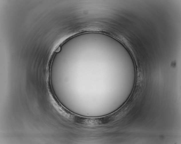 X0000115000795200911091357