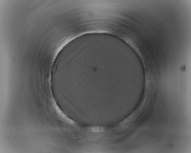 X0000115000797200911091357