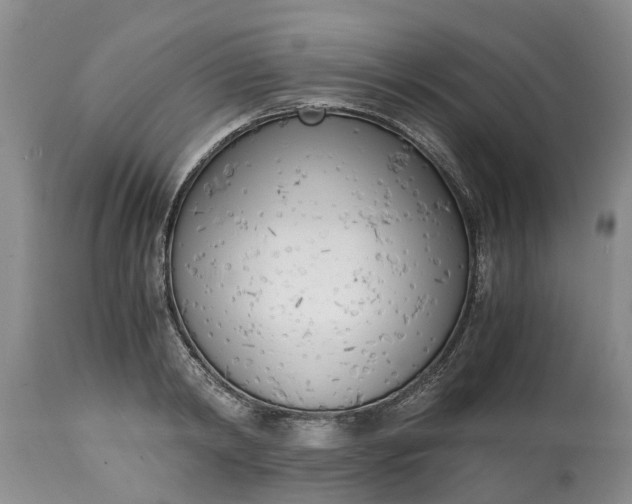 X0000115000798200911091357
