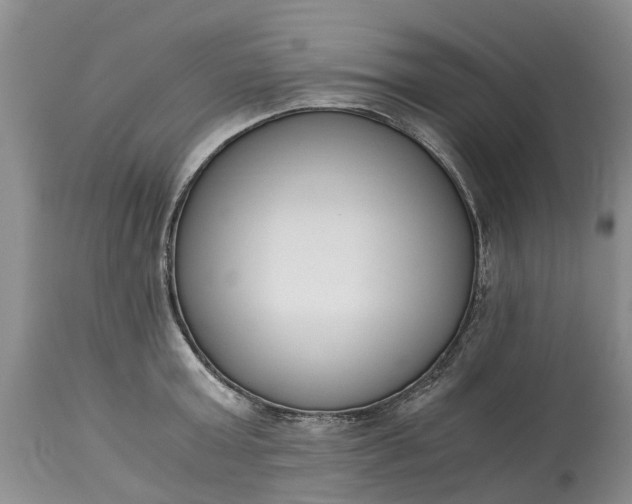 X0000115000803200911091357
