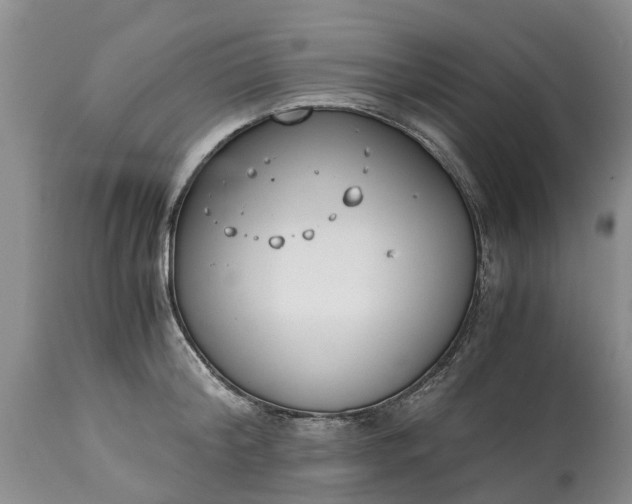 X0000115000804200911091357