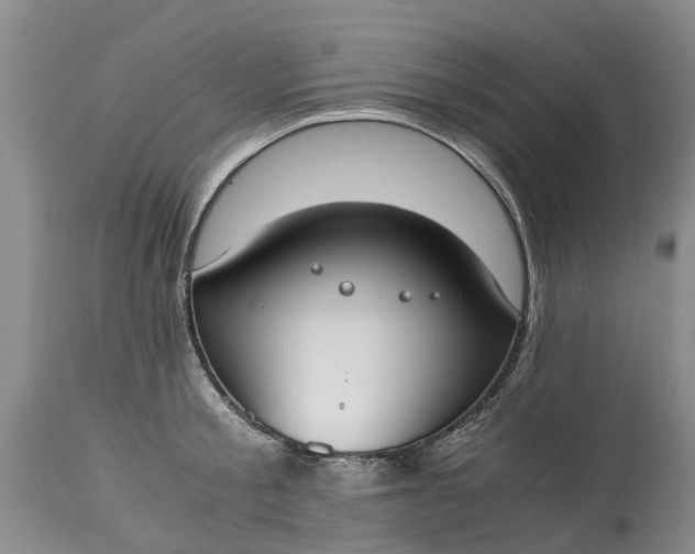 X0000115000805200911091357