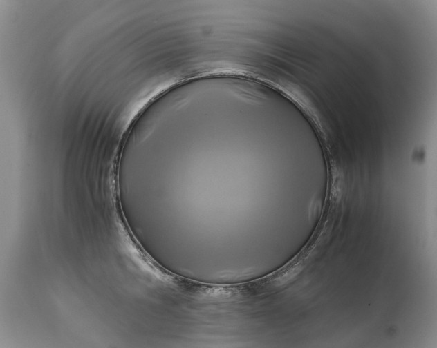 X0000115000806200911091357