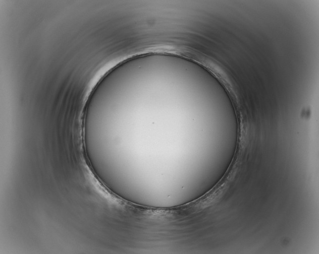 X0000115000808200911091357